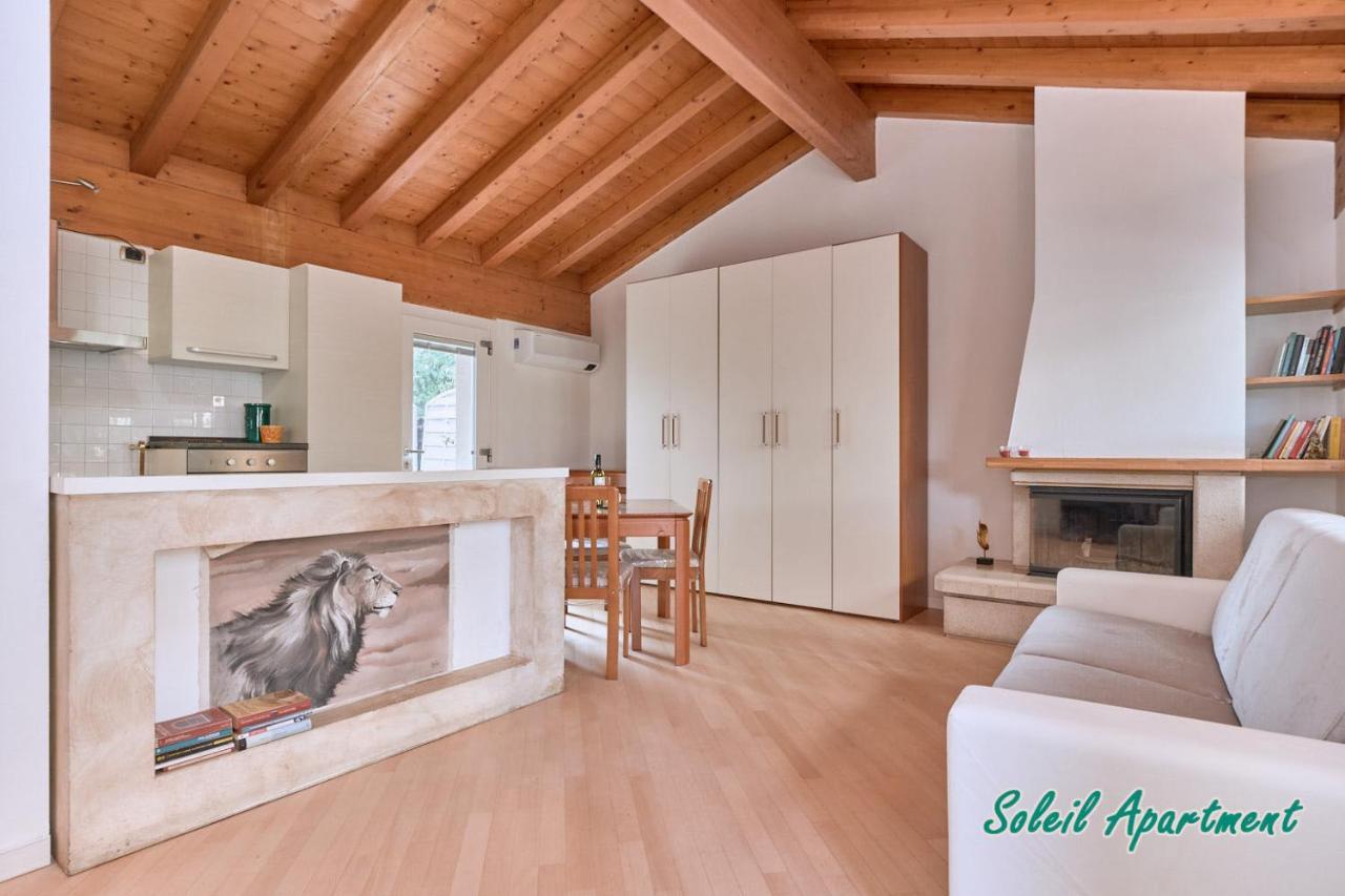 Casa Monique Apartments デセンツァーノ・デル・ガルダ エクステリア 写真